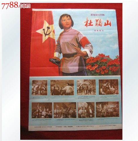 结扎证哪里能做